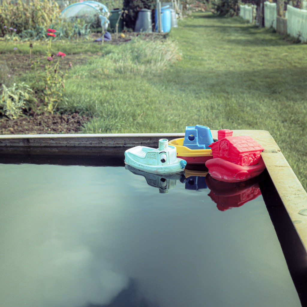 allotments, landscape, photography, space, mental health