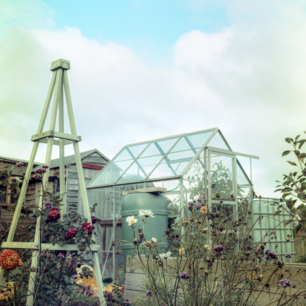 allotments, landscape, photography, space, mental health