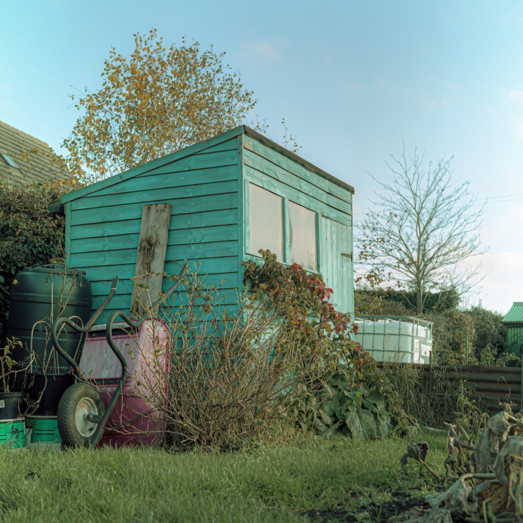 allotments, landscape, photography, space, mental health