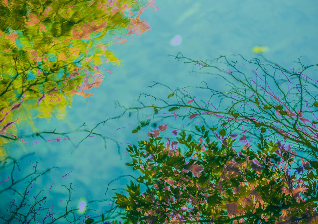 abstract art, pictures, water, colour, photography, Robin Stewart photographer