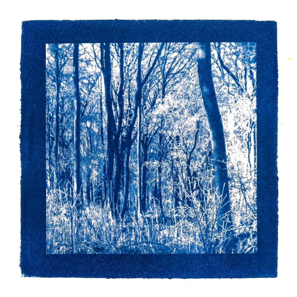 cyanotype, photographer, artist, kodak, box brownie, film photography, landscape