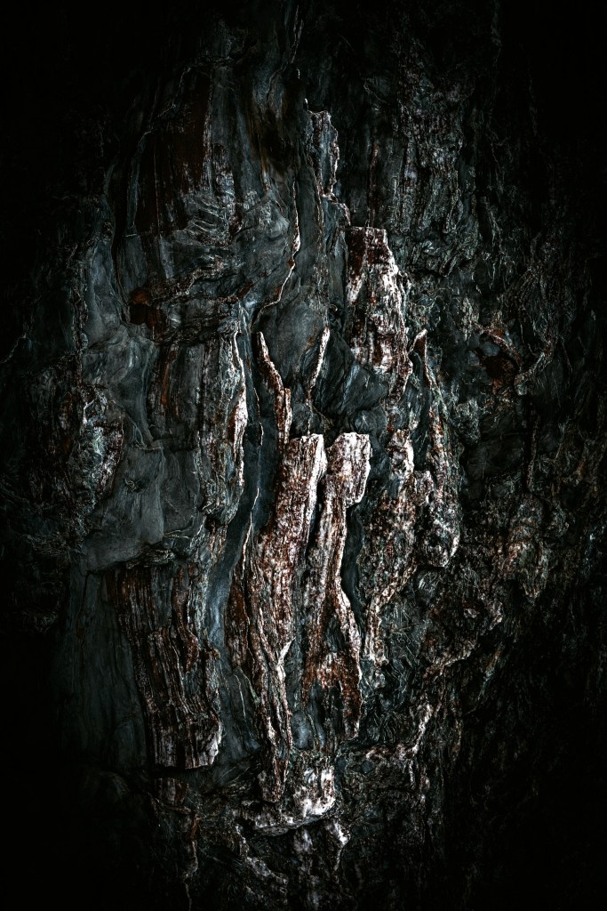 rock, stone, wood, landscape, photography, macro, mono-chromatic, chiaroscuro, texture, prints, wall art