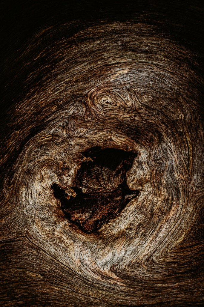 rock, stone, wood, landscape, photography, macro, mono-chromatic, chiaroscuro, texture, prints, wall art