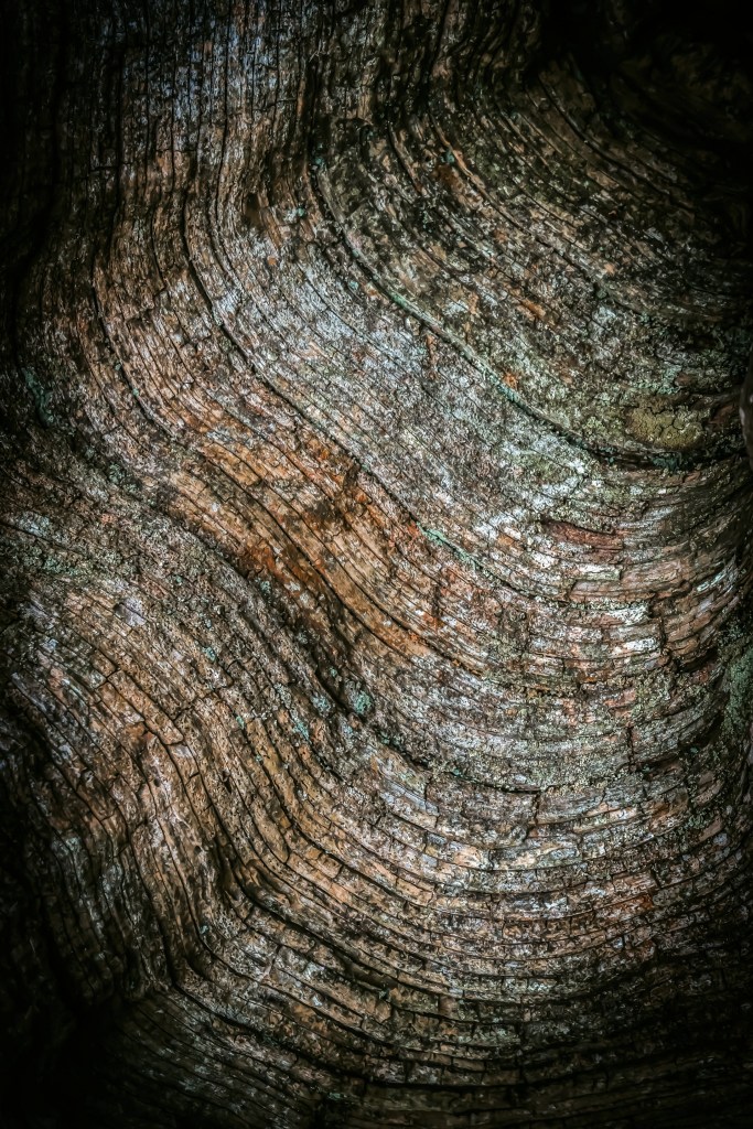 rock, stone, wood, landscape, photography, macro, mono-chromatic, chiaroscuro, texture, prints, wall art