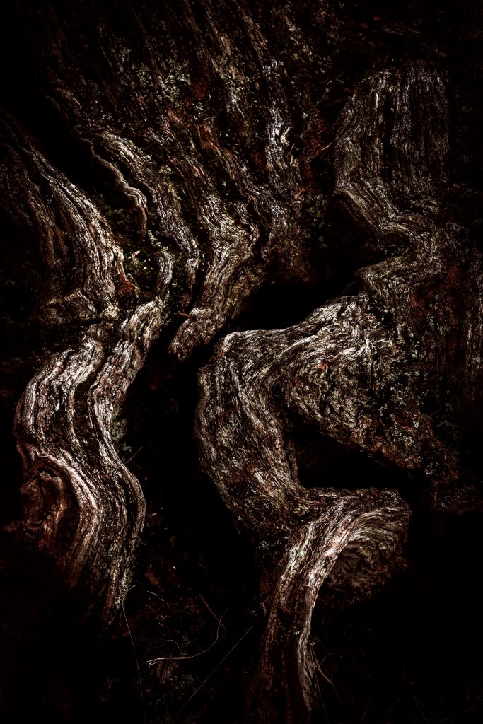 rock, stone, wood, landscape, photography, macro, mono-chromatic, chiaroscuro, texture, prints, wall art