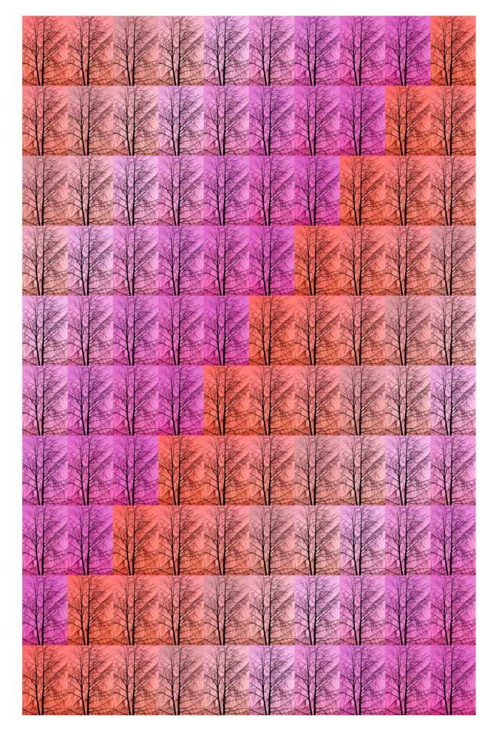 100 trees at sunrise