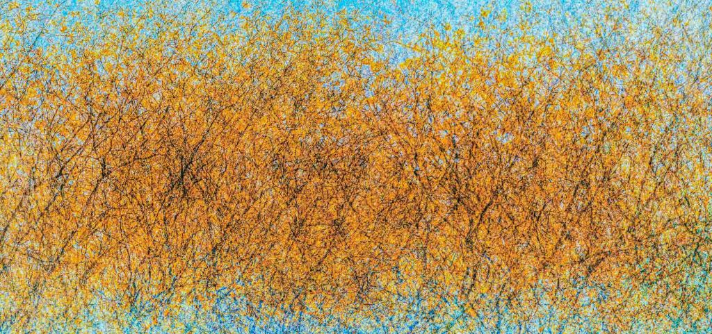 I seek to interpret the landscape both visually and emotionally. The work is influenced by the American school of Abstract Expressionism with Mark Rothko just one influence among a group of artists that also include Clyfford Still and of course Jackson Pollack.