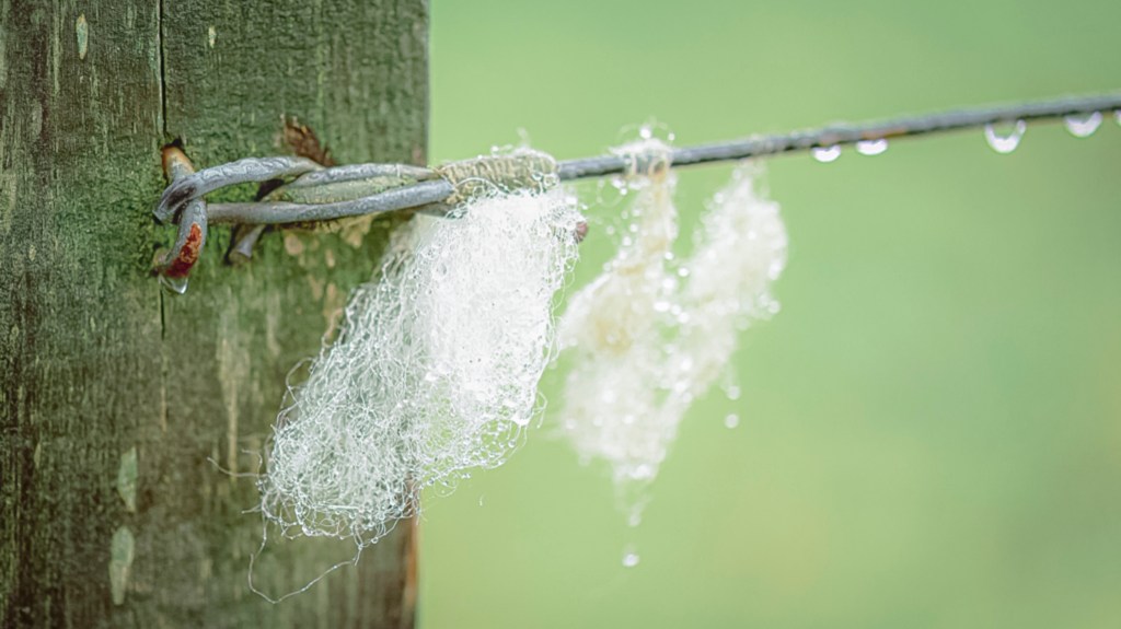 Historical photographic study of abandoned medieval villages sites in Leicestershire