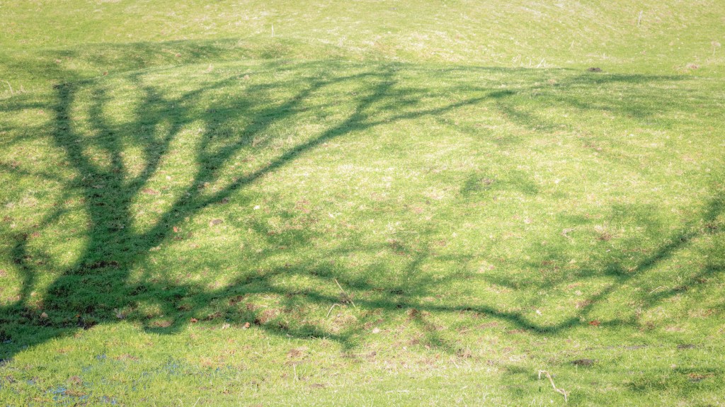 Historical photographic study of abandoned medieval villages sites in Leicestershire