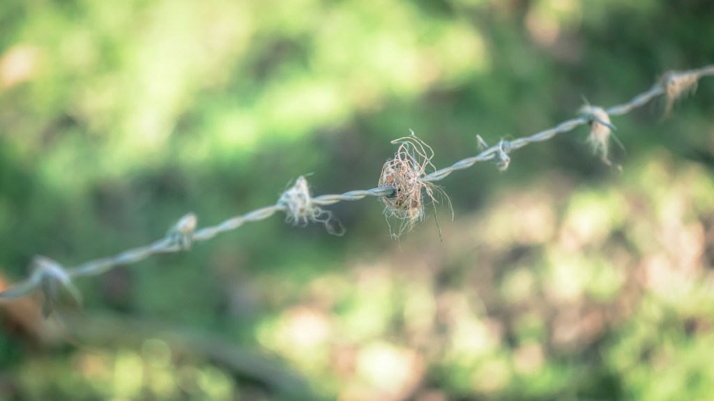 Historical photographic study of abandoned medieval villages sites in Leicestershire