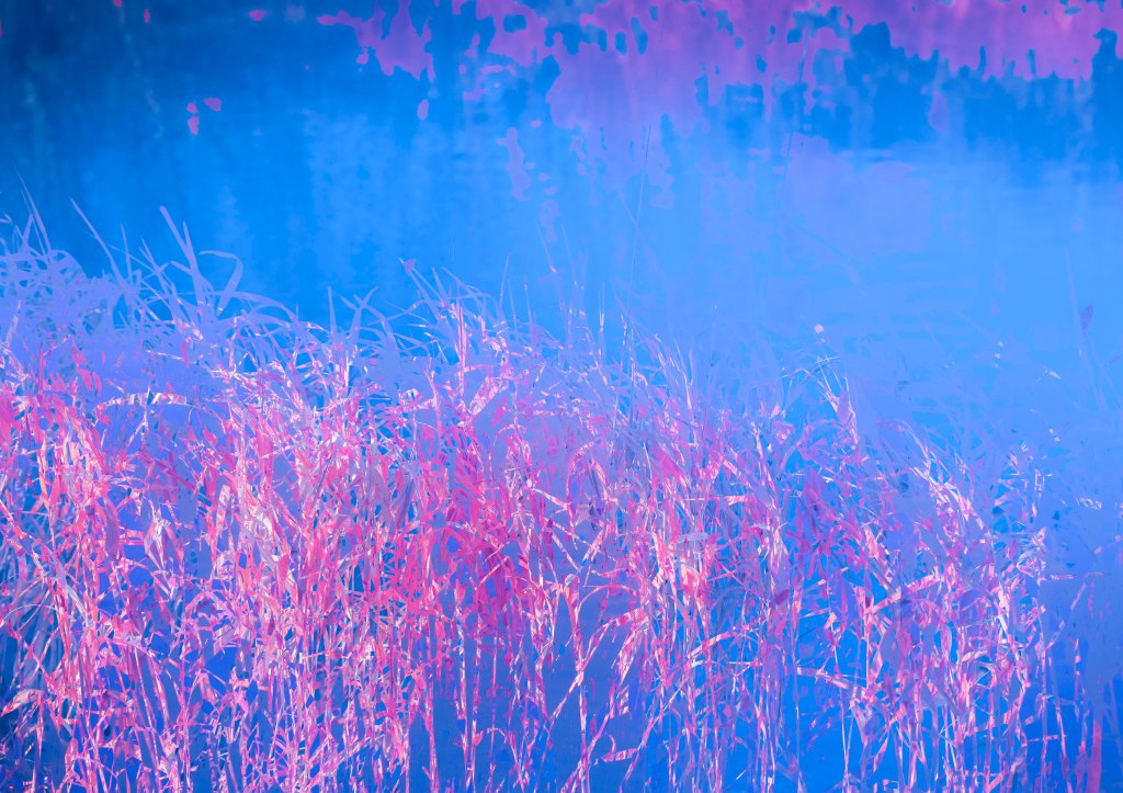 abstract, art, photography, water