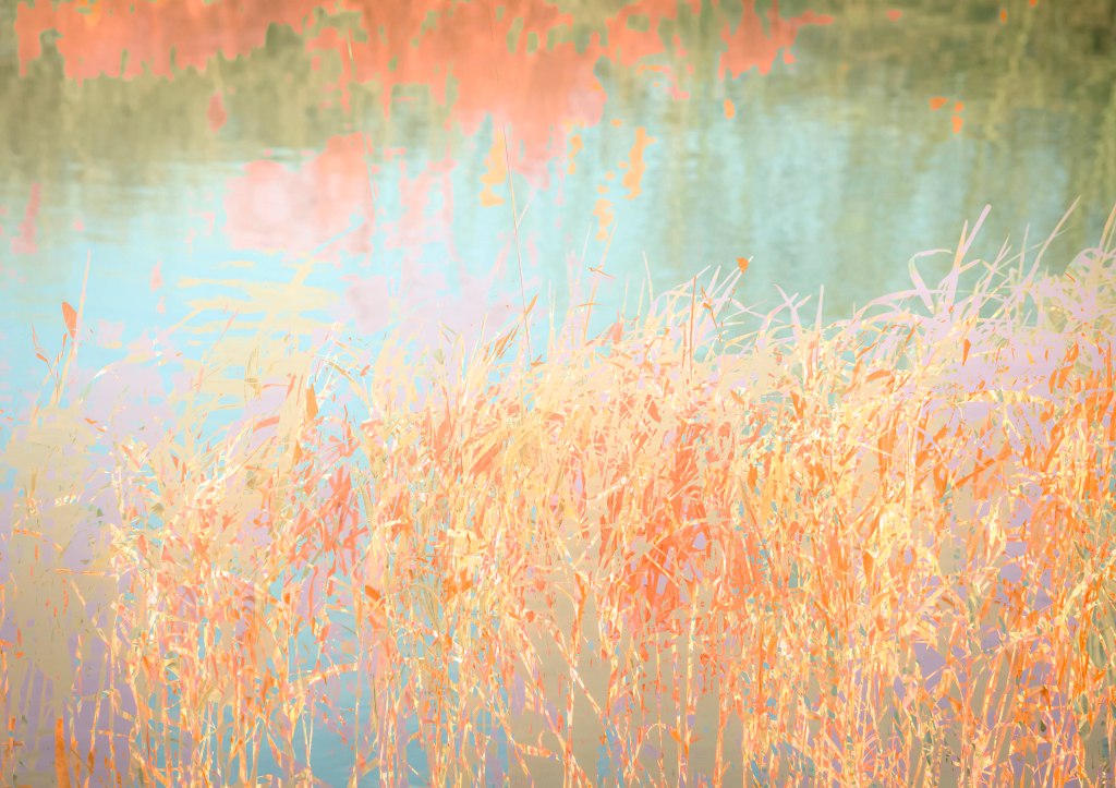 abstract, art, photography, water